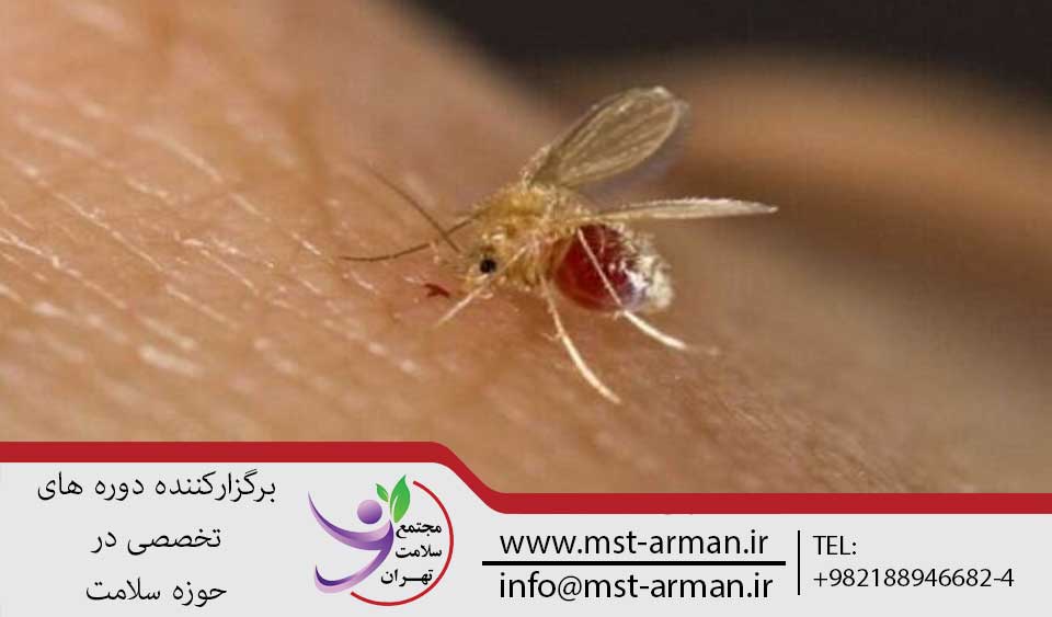 اخبار پزشکی | مجتمع سلامت تهران